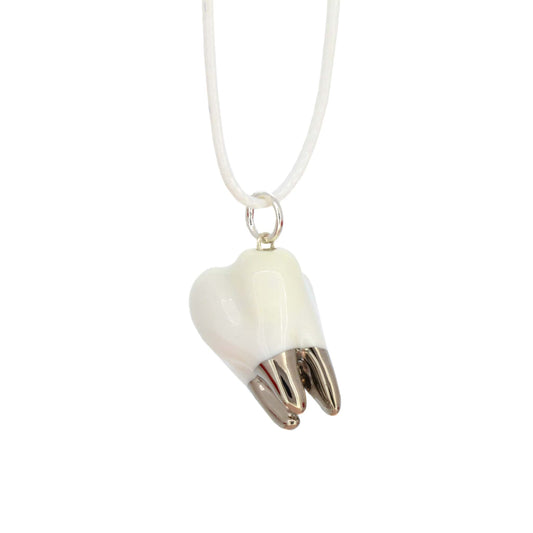 Quirky Tooth Pendant Necklace Silver Root